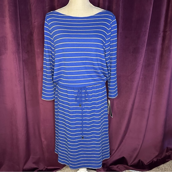 Blue & Gold Striped Dress, Size 1X - Picture 1 of 7